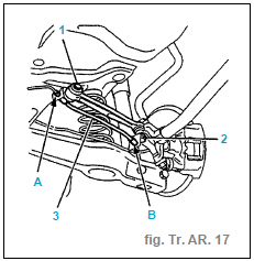 Bras inférieur