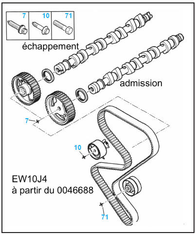 Distribution