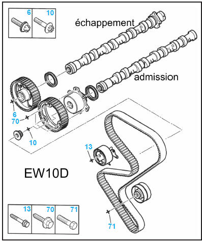 Distribution