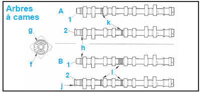 Distribution