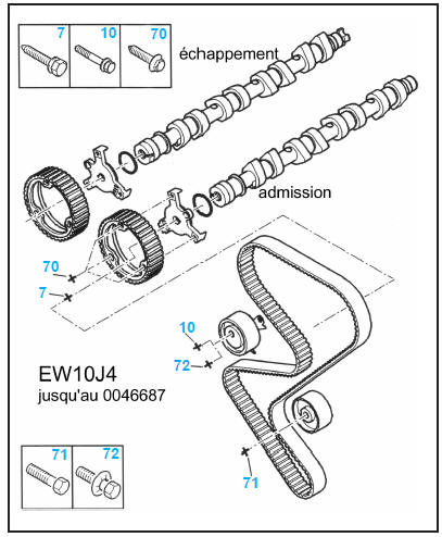 Distribution