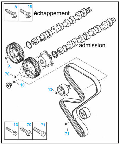 Distribution