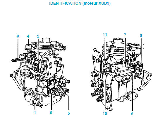 Identification