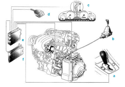 Implantation générale ZF 4 HP 20